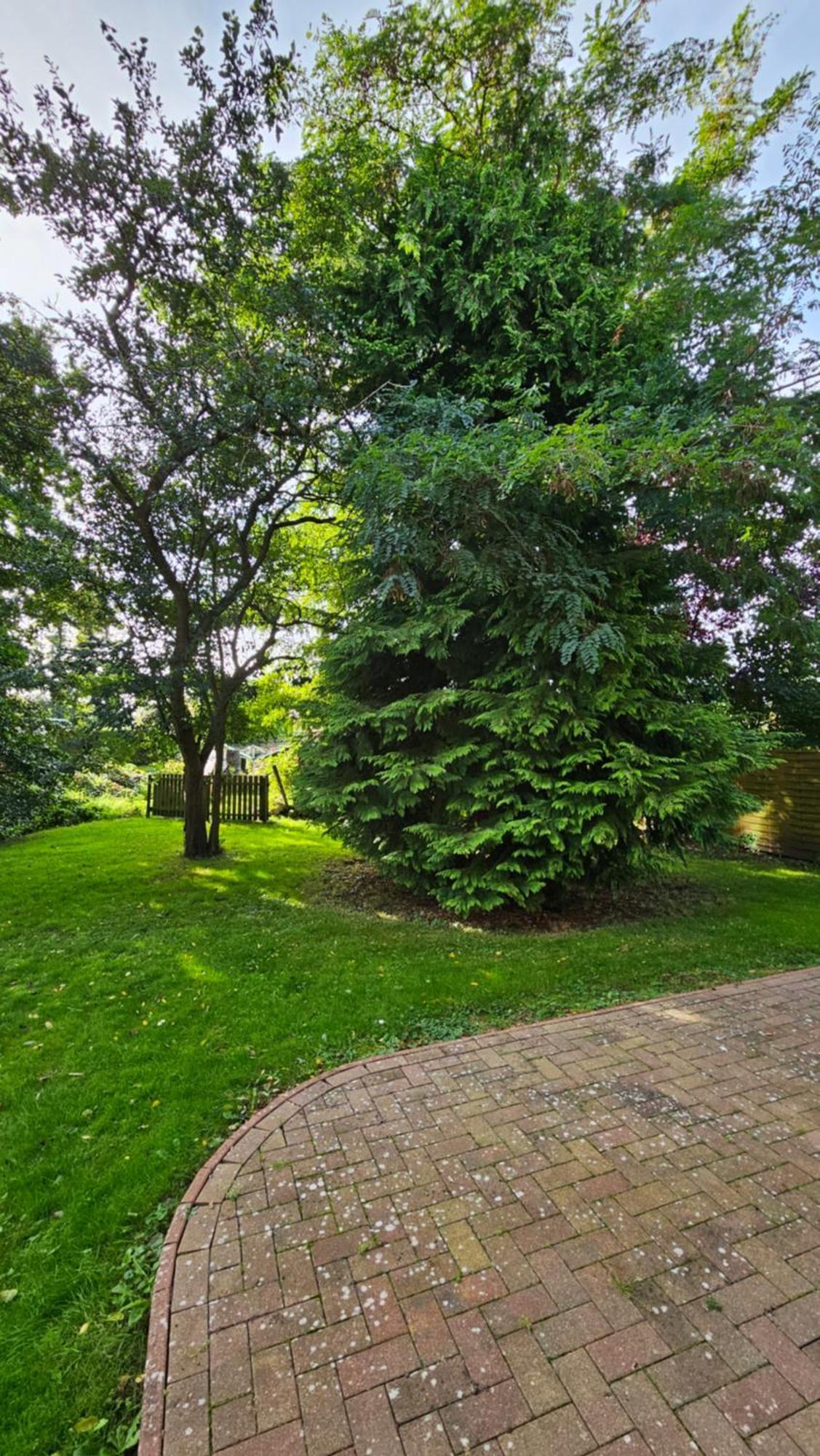 Usedom Suites Zinnowitz Εξωτερικό φωτογραφία